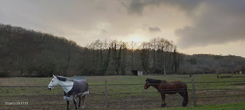 Poney Club Moulin du Got - photo 2
