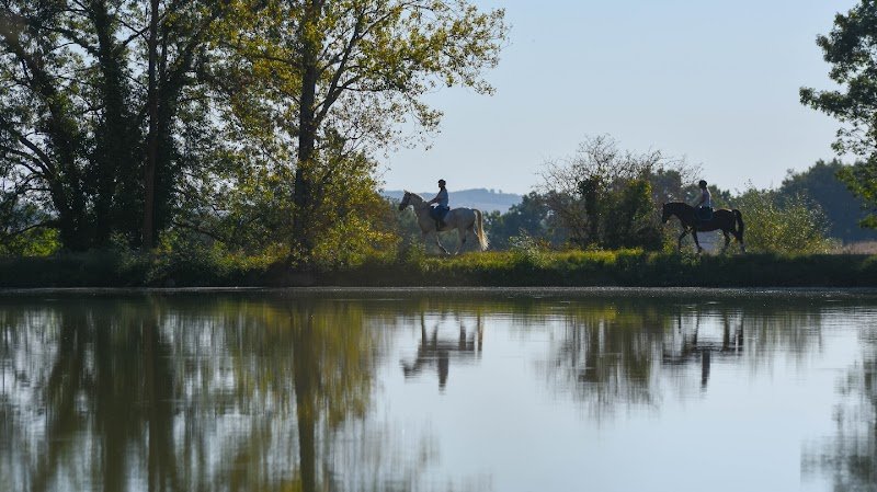Les Écuries d’Ars - photo 1