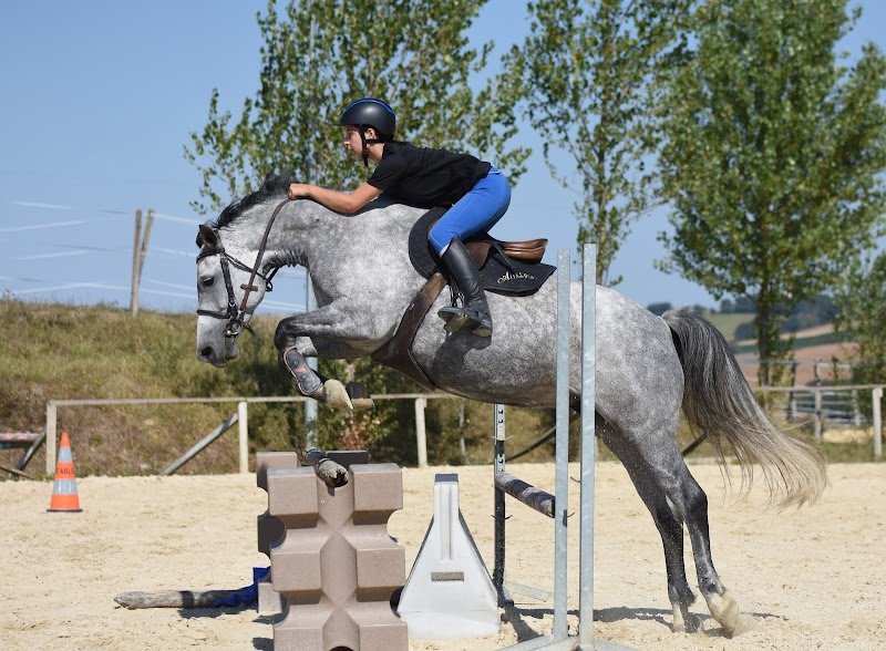 Les Écuries d’Ars - photo 2