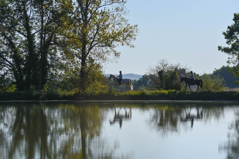 Les Écuries d’Ars - photo 3