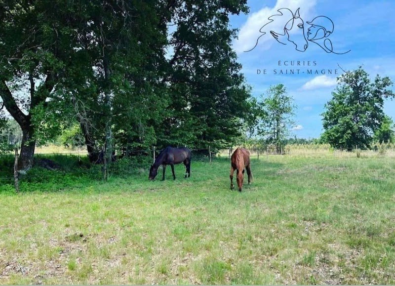 Ecurie de propriétaires - Loisirs et Horse-ball
