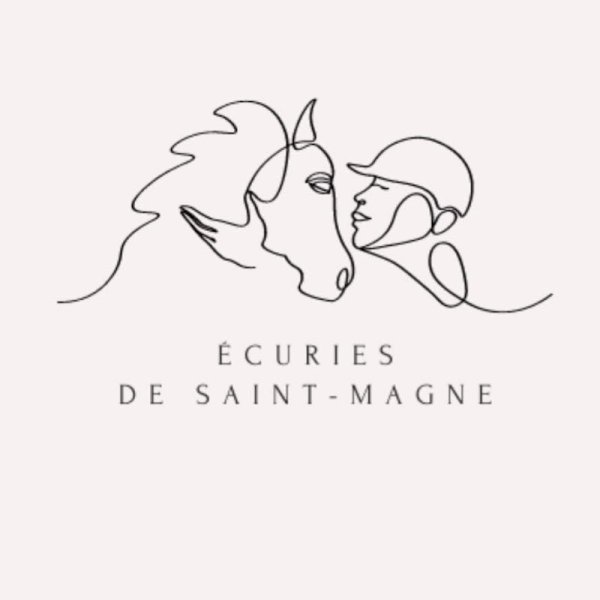 Ecurie de propriétaires - Loisirs et Horse-ball - photo 2