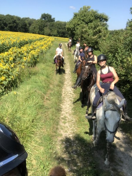 Earl Les Ecuries Du Seillery - photo 1