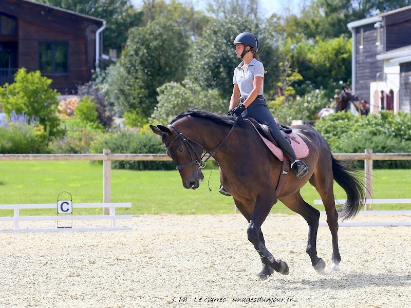 Haras des Sens - photo 2