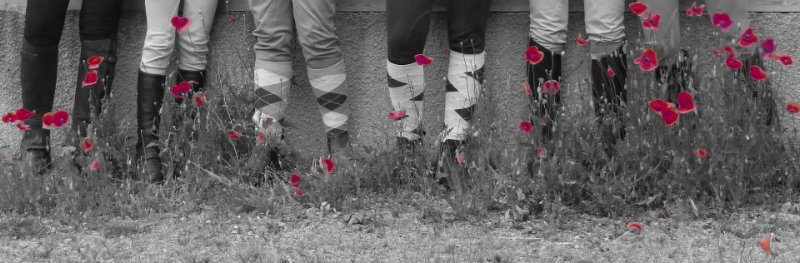 Les Écuries du Villard - photo 1