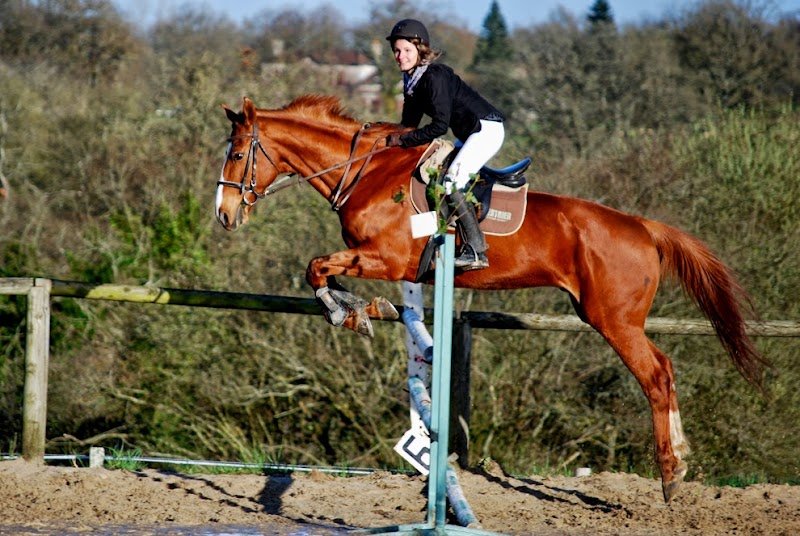 Les Écuries du Villard - photo 2