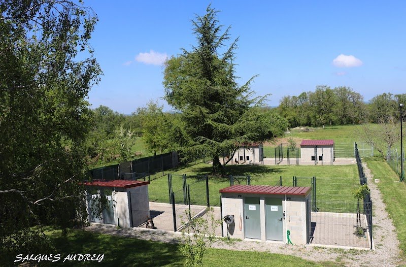 Pension Du Biker à 4 Pattes - photo 1