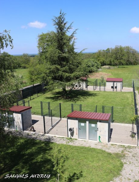 Pension Du Biker à 4 Pattes - photo 2