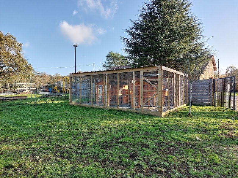 Pension Du Biker à 4 Pattes - photo 3