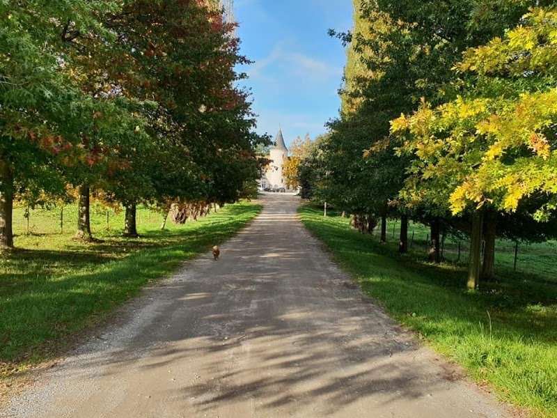 Les Écuries du Domaine du Taillan - photo 1
