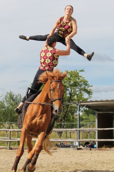 Poney Club de la Côte