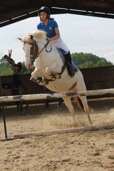 Poney Club de la Côte - photo 3