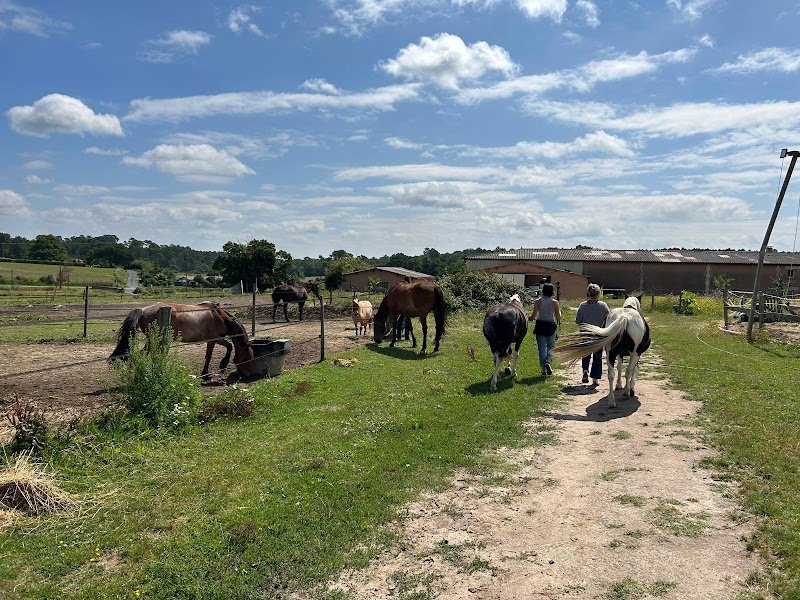 Les Ecuries Du Sansoucy - photo 3
