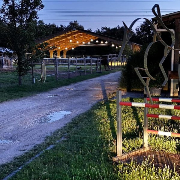 Centre Équestre D'Abzac - photo 2