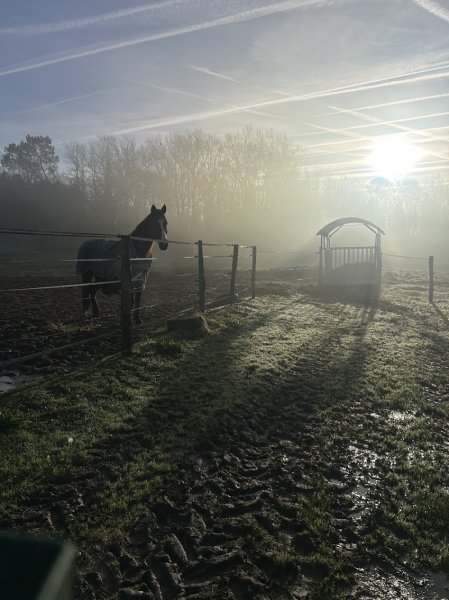 Centre Équestre D'Abzac - photo 3