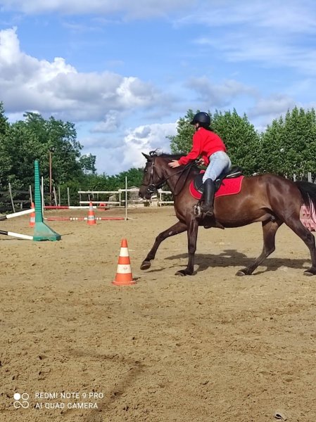 ECURIE EPO'VIDA - photo 1