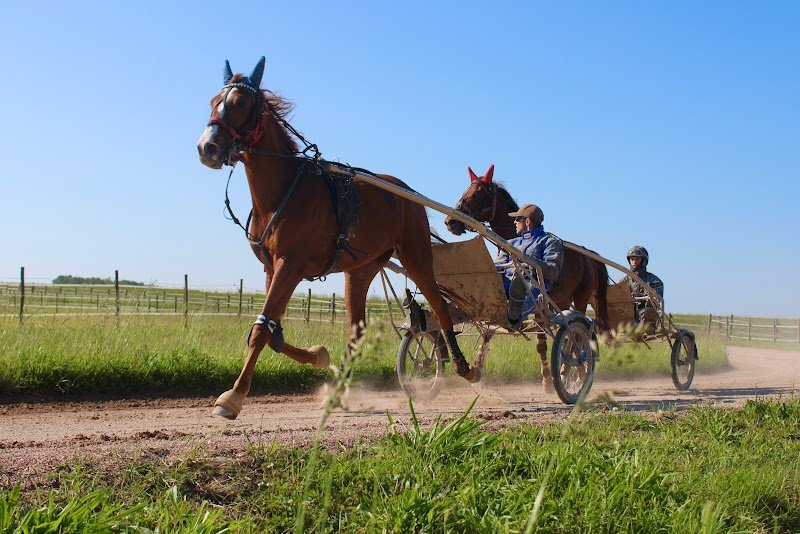 Écurie Éric Audebert - photo 1