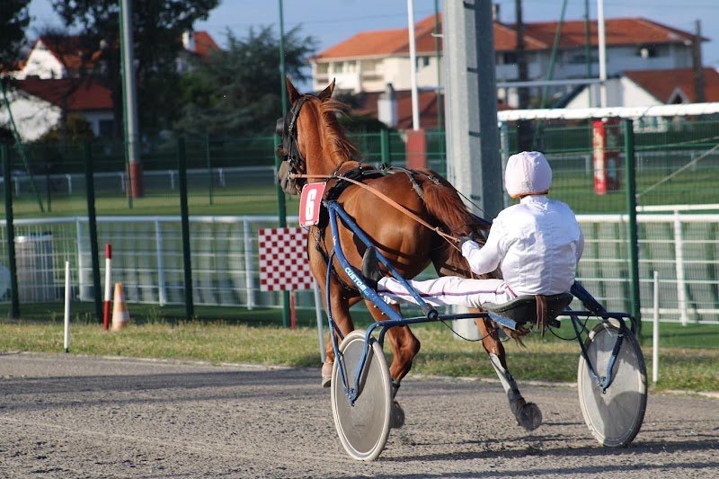 Écurie Éric Audebert - photo 2