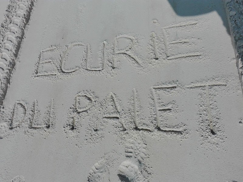 Ecurie Le Palet - photo 1