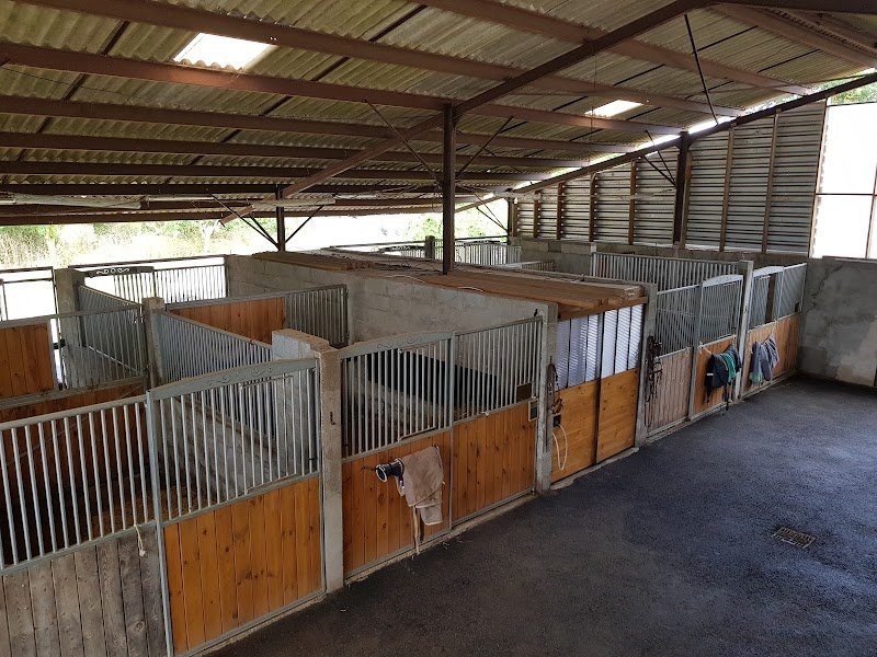 Ecurie Le Palet - photo 2