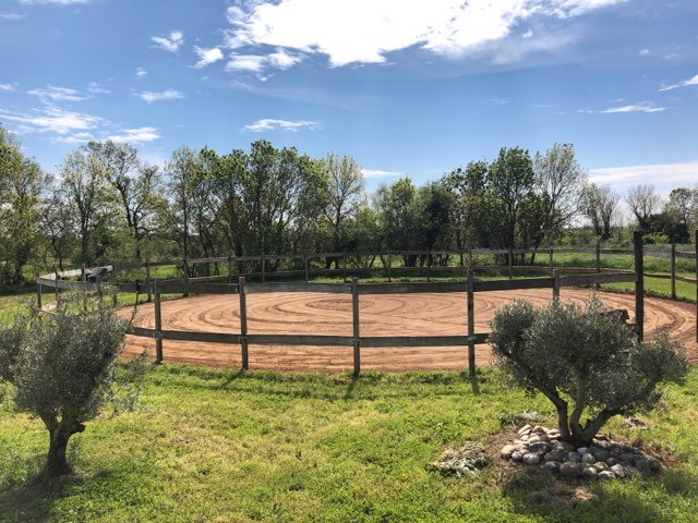 Ecurie Le Palet - photo 3