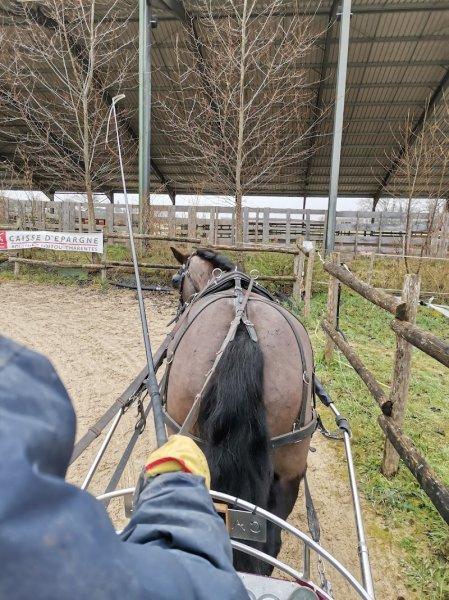 Centre équestre Verdille - photo 1