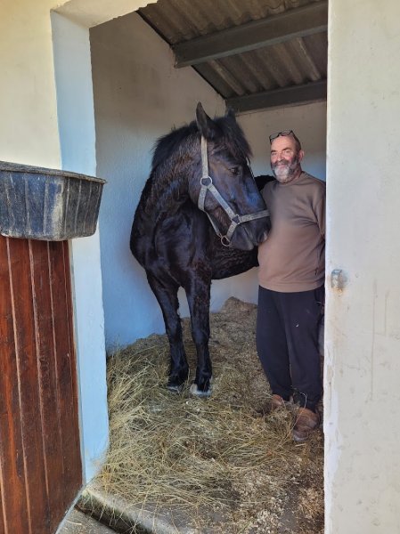 Centre équestre Verdille - photo 3