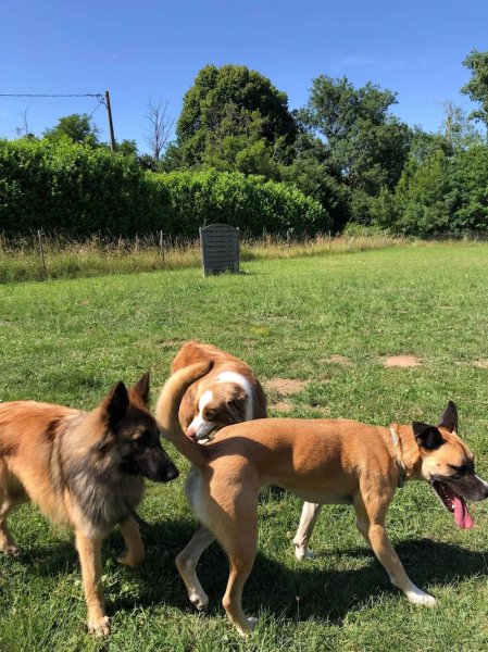 Pension des jardins d'Eden