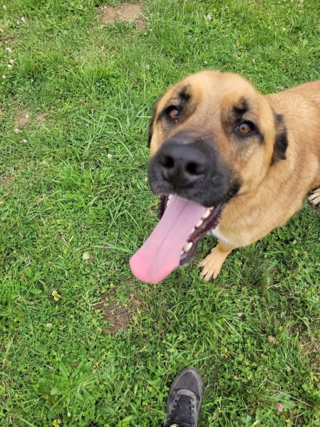 Pension des jardins d'Eden - photo 2