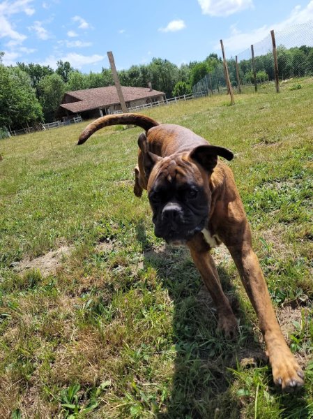 Pension des jardins d'Eden - photo 3