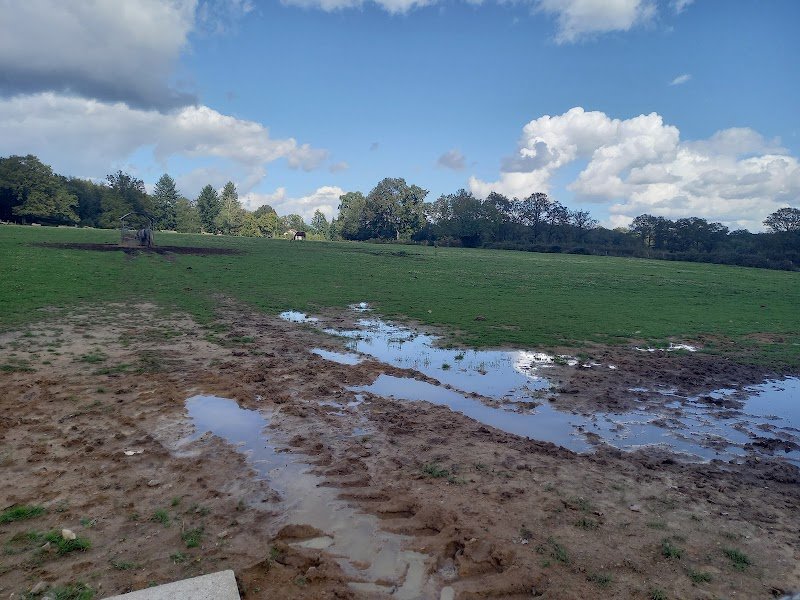 Ferme équestre de Lespinas - photo 2