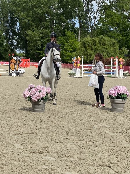Ecurie de Propriétaires Bordeaux CSO Stéphane Lallemant - Domaine des Artigaux - Pension chevaux - Poney club fermé - photo 2