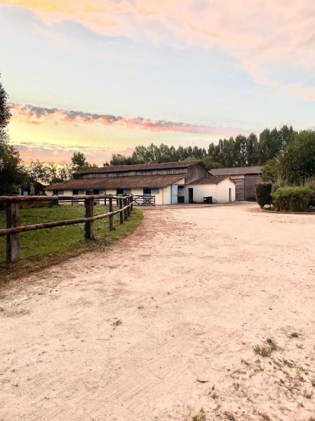 Écurie Dynalie Coutin - photo 1