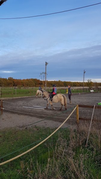 Ecurie du grand bois - photo 2