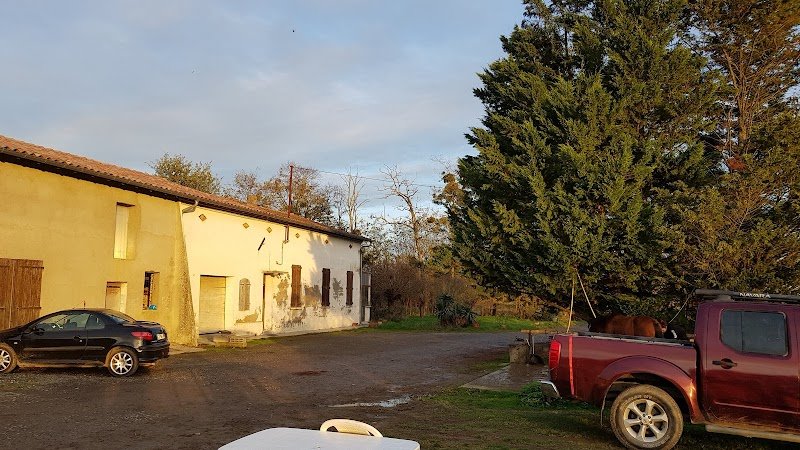 Ecurie du grand bois - photo 3