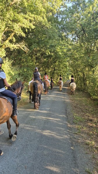 Poney club des retrouvailles - photo 3