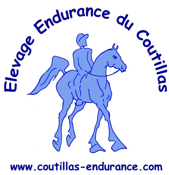 Elevage chevaux d'endurance du Coutillas - photo 2
