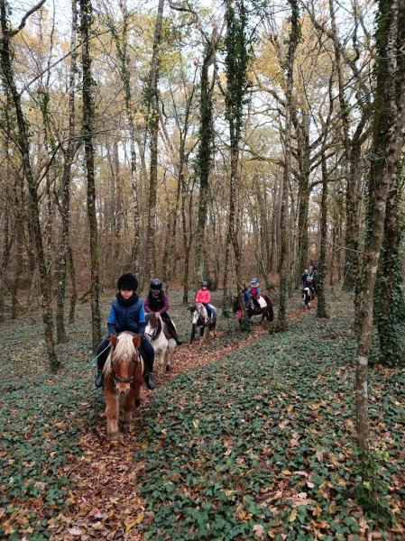 Ferme équestre de Gueyte - photo 1