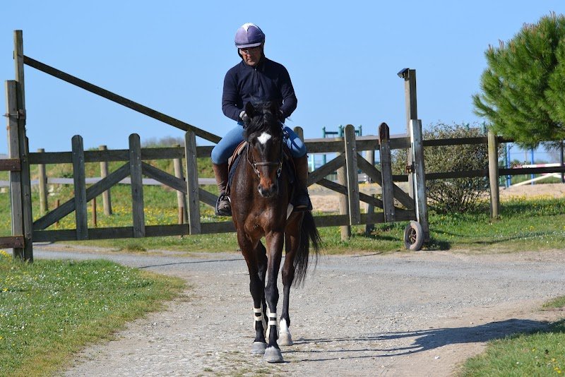 Ecurie FLEURISSON - photo 2