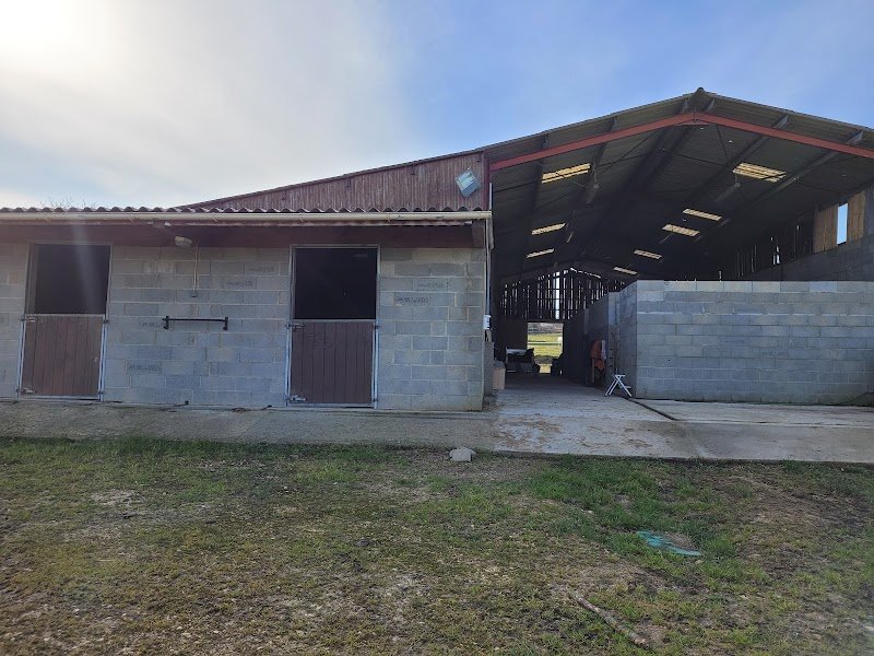 Sophro Cavaliers Italia by EquiV - photo 2