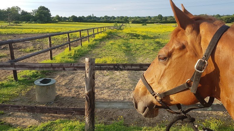LES ECURIES DE SOBIDAIN - photo 2