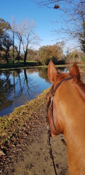 LES ECURIES DE SOBIDAIN - photo 3