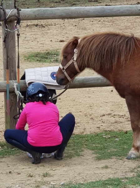 ECURIE DE BAUD - photo 2