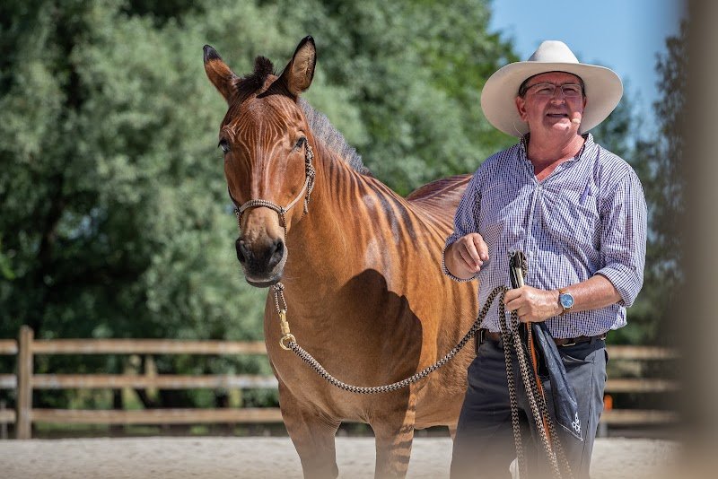 Domaine de Pinsac, Ecuries Andy Booth - photo 1