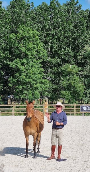 Domaine de Pinsac, Ecuries Andy Booth - photo 2
