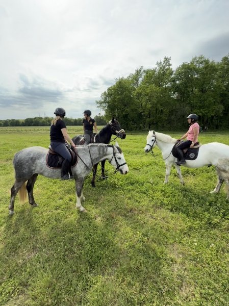 Écurie de thimazee - photo 2