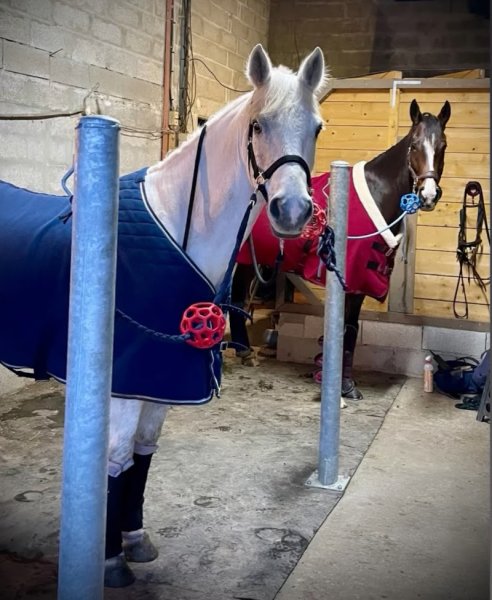 Écurie de thimazee - photo 3