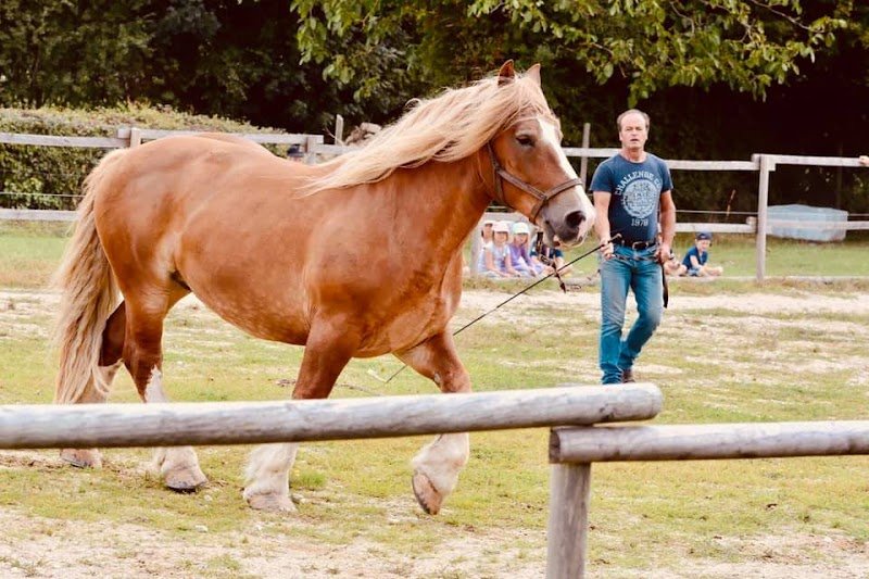 Ferme équestre La Terre Du Cheval - photo 2