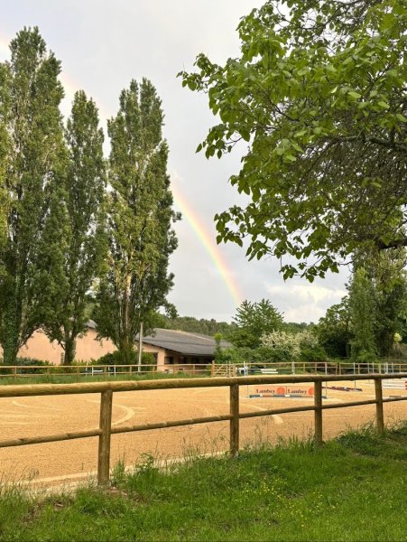 Haras de la Forêt - photo 1