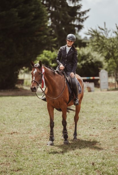 Haras de la Forêt - photo 2